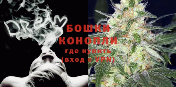 шишки Армянск