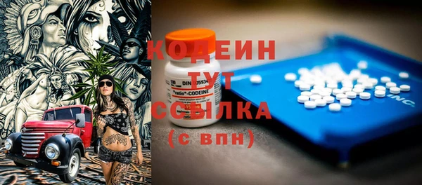 ПСИЛОЦИБИНОВЫЕ ГРИБЫ Аркадак