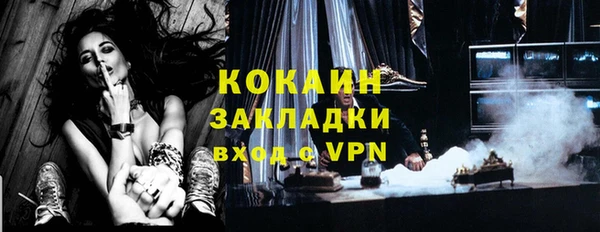 шишки Армянск