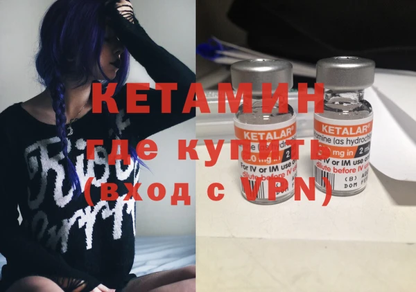 шишки Армянск