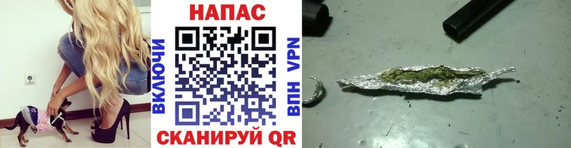 Канабис SATIVA & INDICA  Нюрба 